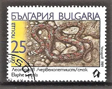 Briefmarke Bulgarien Mi.Nr. 3786 o Schlangen 1989 / Leopardnatter (Elaphe situla)