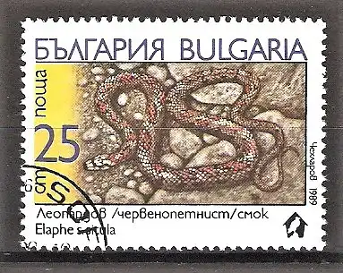 Briefmarke Bulgarien Mi.Nr. 3786 o Schlangen 1989 / Leopardnatter