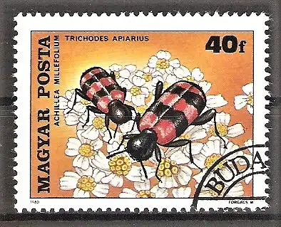 Briefmarke Ungarn Mi.Nr. 3405 A o Bestäubung der Blumen 1980 / Gemeine Schafgarbe - Immenkäfer