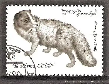 Briefmarke Sowjetunion Mi.Nr. 4969 o Pelztiere 1980 / Polarfuchs