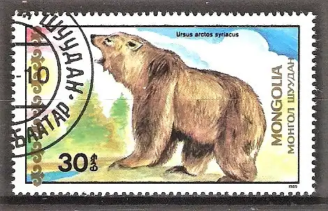 Briefmarke Mongolei Mi.Nr. 2033 o Bären 1989 / Syrischer Bär (Ursus arctos syriacus)