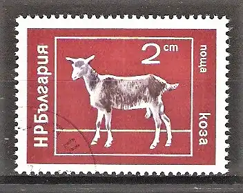 Briefmarke Bulgarien Mi.Nr. 2320 o Haustiere 1974 / Ziege