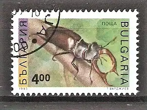 Briefmarke Bulgarien Mi.Nr. 4095 o Insekten 1993 / Hirschkäfer