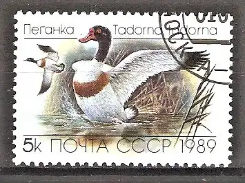 Briefmarke Sowjetunion Mi.Nr. 5965 o Enten und Gänse 1989 / Brandgans