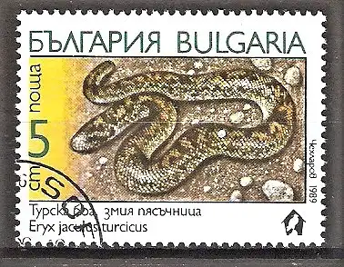 Briefmarke Bulgarien Mi.Nr. 3784 o Schlangen 1989 / Türkische Sanaboa (Eryx jaculus turcicus)