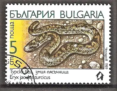Briefmarke Bulgarien Mi.Nr. 3784 o Schlangen 1989 / Türkische Sanaboa