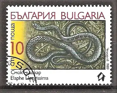 Briefmarke Bulgarien Mi.Nr. 3785 o Schlangen 1989 / Äskulapnatter