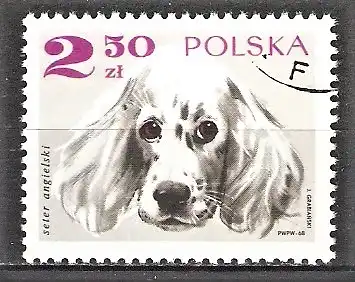 Briefmarke Polen Mi.Nr. 1902 o Rassehunde 1969 / Englischer Setter