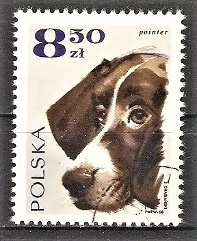 Briefmarke Polen Mi.Nr. 1905 o Rassehunde 1969 / Pointer