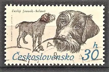 Briefmarke Tschechoslowakei Mi.Nr. 2155 o Jagdhunde 1973 / Böhmischer Rauhbart