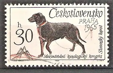 Briefmarke Tschechoslowakei Mi.Nr. 1542 o Hunde-Weltausstellung Brünn 1965 / Slowakischer Jagdhund