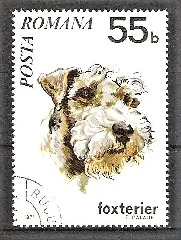 Briefmarke Rumänien Mi.Nr. 2910 o Hunde 1971 / Foxterrier