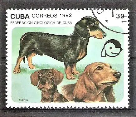 Briefmarke Cuba Mi.Nr. 3561 o Symposium der Kynologen-Föderation 1992 / Hunde - Dackel