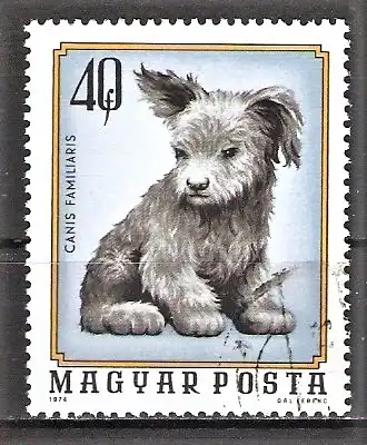 Briefmarke Ungarn Mi.Nr. 3007 A o Junge Haustiere 1974 / Hundewelpe
