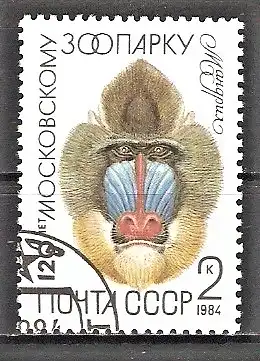 Briefmarke Sowjetunion Mi.Nr. 5356 o 120 Jahre Moskauer Tierpark 1984 / Mandrill