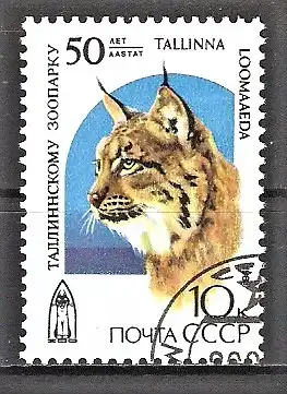Briefmarke Sowjetunion Mi.Nr. 5977 o Tierpark von Tallinn (Reval) 1989 / Luchs