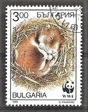 Briefmarke Bulgarien Mi.Nr. 4124 o Weltweiter Naturschutz WWF 1994 / Feldhamster (Cricetus cricetus)