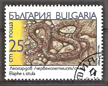 Briefmarke Bulgarien Mi.Nr. 3786 o Schlangen 1989 / Leopardnatter (Elaphe situla)