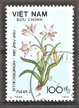 Briefmarke Vietnam Mi.Nr. 2090 o Blumen 1989 / Gelbrote Taglilie (Hemerocallis fulva)