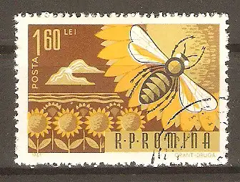 Briefmarke Rumänien Mi.Nr. 2221 o Bienen- und Seidenraupenzucht 1963 / Honigbiene (Apis mellifica) #202410