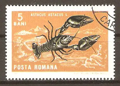 Briefmarke Rumänien Mi.Nr. 2544 o Weich- und Krebstiere 1966 / Edelkrebs (Astacus astacus) #202417