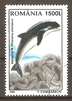 Briefmarke Rumänien Mi.Nr. 5212 o Einheimische Tiere 1996 / Delphin (Phocaena phocaena) #202418