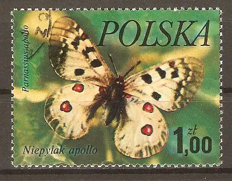 Briefmarke Polen Mi.Nr. 2516 o Schmetterlinge 1977 / Apollofalter (Parnassius apollo) #202425