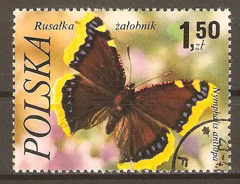 Briefmarke Polen Mi.Nr. 2519 o Schmetterlinge 1977 / Trauermantel (Nymphalis antiopa) #202426