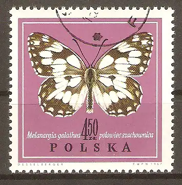 Briefmarke Polen Mi.Nr. 1804 o Schmetterlinge 1967 / Damenbrett (Agapetes galathea) #202429