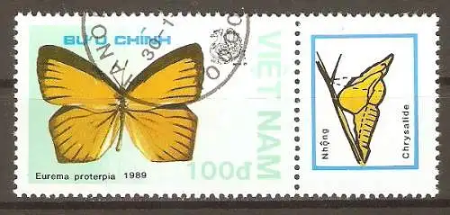 Briefmarke Vietnam Mi.Nr. 1995 o Schmetterlinge 1989 / Schwanzorange (Eurema proterpia) #202430