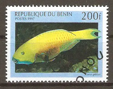 Briefmarke Benin Mi.Nr. 980 o Meeresfische 1997 / Papageifisch (Scarus gibbus) #202433