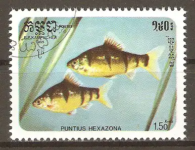 Briefmarke Kambodscha Mi.Nr. 719 o Fünfgürtelbarbe (Barbus pentazona) #202435