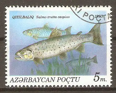 Briefmarke Aserbaidschan Mi.Nr. 102 o Fische 1993 / Kaspische Forelle (Salmo trutta caspius) #202437