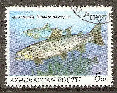 Briefmarke Aserbaidschan Mi.Nr. 102 o Kaspische Forelle (Salmo trutta caspius) #202437