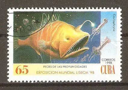 Briefmarke Cuba Mi.Nr. 4114 o Weltausstellung EXPO ’98, Lissabon 1998 / Tiefseefische - Tiefsee-Anglerfisch (Caulophryne sp.) #202438