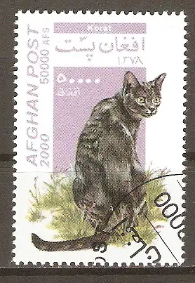 Briefmarke Afghanistan Mi.Nr. 1941 o Katzen 2000 / Korat Katze #202446