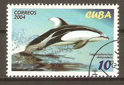 Briefmarke Cuba Mi.Nr. 4638 o Delphine 2004 / Weißstreifendelphin (Lagenorhynchus obliquidens) #202454