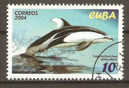 Briefmarke Cuba Mi.Nr. 4638 o Weißstreifendelphin (Lagenorhynchus obliquidens) #202454