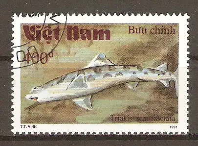 Briefmarke Vietnam Mi.Nr. 2311 o Haie 1991 / Leopardenhai (Triakis semifasciata) #202456