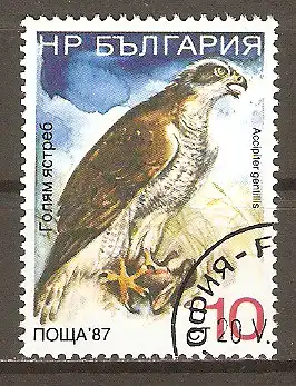 Briefmarke Bulgarien Mi.Nr. 3693 o Habicht (Accipiter gentilis) #202460