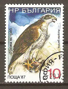 Briefmarke Bulgarien Mi.Nr. 3693 o Vögel 1988 / Habicht (Accipiter gentilis) #202460