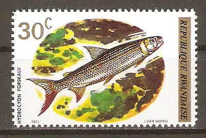 Briefmarke Ruanda Mi.Nr. 578 ** Fische 1973 / Tigersalmler (Hydrocyon forskalii) #202473
