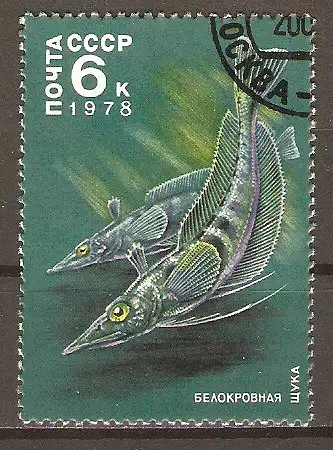 Briefmarke Sowjetunion Mi.Nr. 4745 o Tiere der Antarktis 1978 / Weißblütiger Hecht (Chaenichthys spec.) #202474