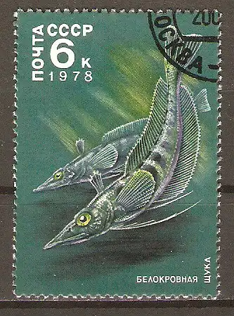 Briefmarke Sowjetunion Mi.Nr. 4745 o Weißblütiger Hecht (Chaenichthys spec.) #202474