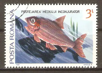 Briefmarke Rumänien Mi.Nr. 4033 o Umweltschutz 1984 / Fisch #202478