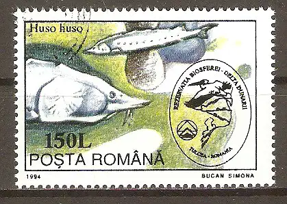 Briefmarke Rumänien Mi.Nr. 5019 o Umweltschutz im Donaudelta 1994 / Hausen (Huso huso) #202479