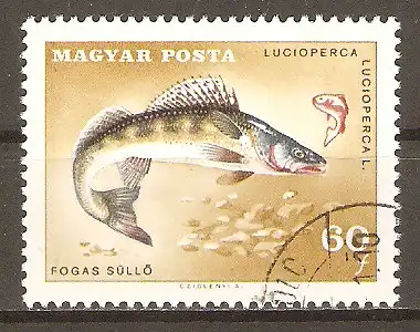 Briefmarke Ungarn Mi.Nr. 2345 A o Zander (Lucioperca lucioperca) #202485