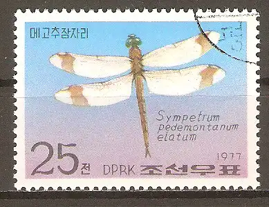 Briefmarke Korea-Nord Mi.Nr. 1657 o Schmetterlinge und Libellen 1977 / Gebänderte Heidelibelle (Sympetrum pedemontanum elatum) #202490