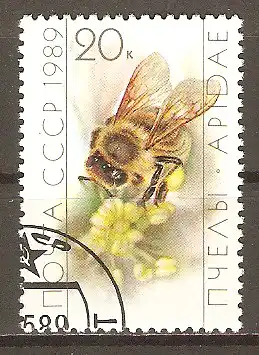 Briefmarke Sowjetunion Mi.Nr. 5952 o Honigbiene (Apis mellifica) #202492