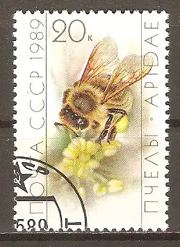 Briefmarke Sowjetunion Mi.Nr. 5952 o Honigbienen 1989 / Honigbiene (Apis mellifica) #202492